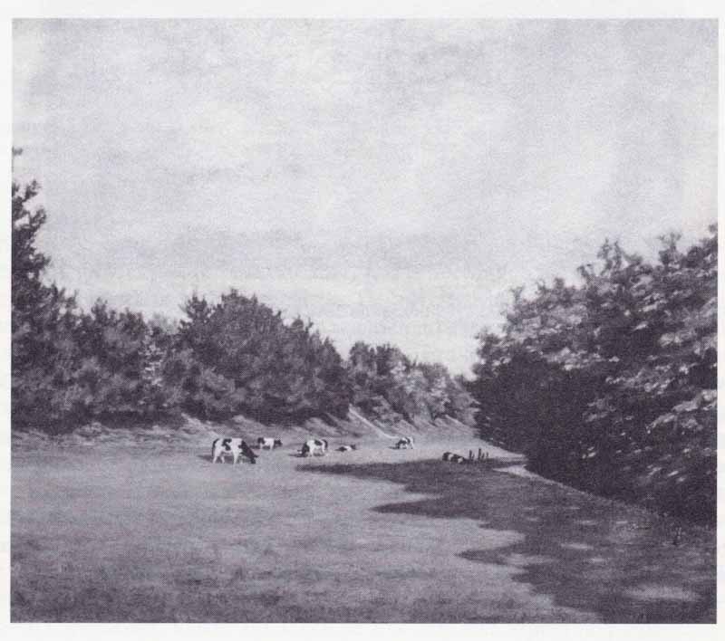 Weilanden en bossen bij Fort de Roovere waar vroeger de familie Bogers grond bezat